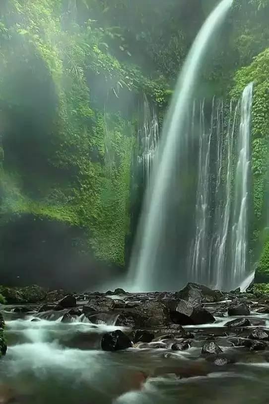 深海鱼救援