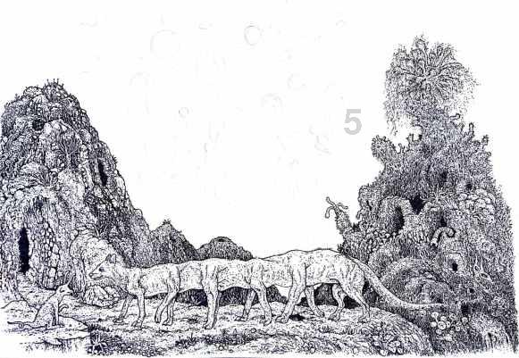三国志12