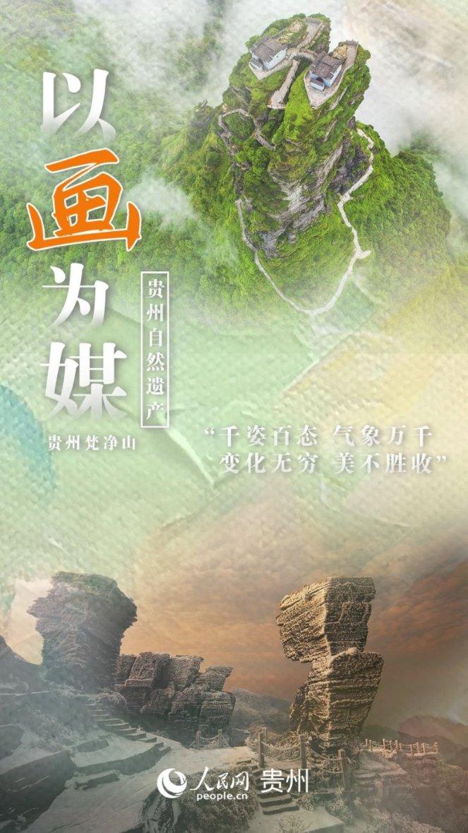 拯救小萌虎